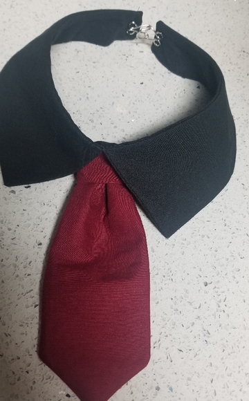 Dog lapel and tie in many colors - Picture 2 of 7